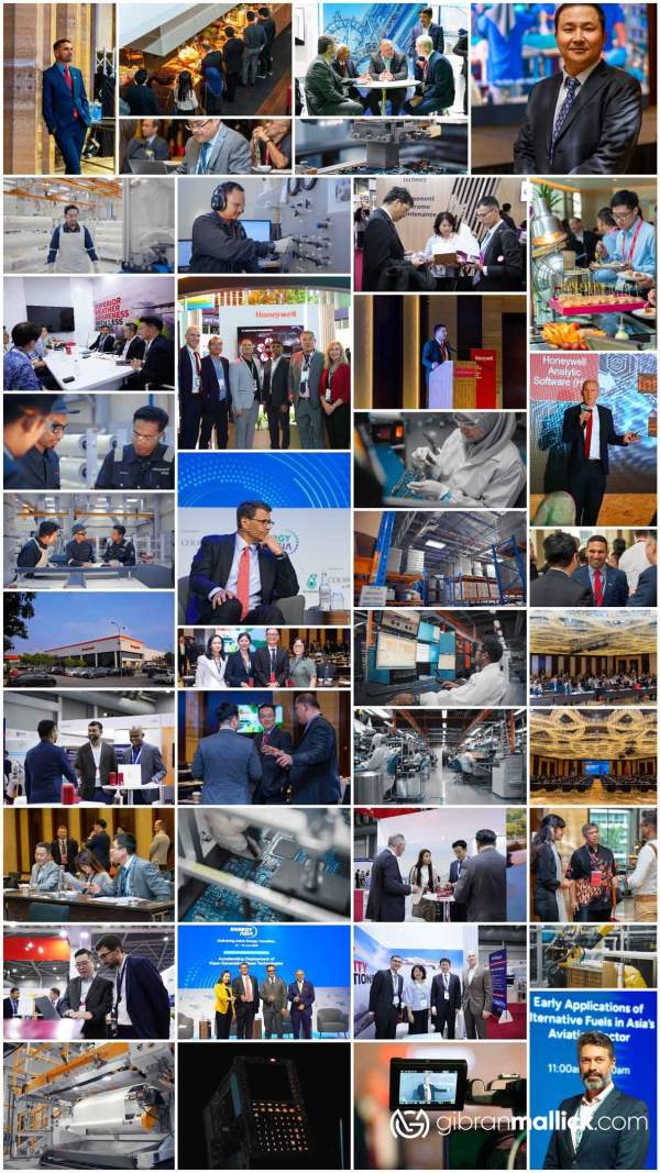 photolive-collage-web